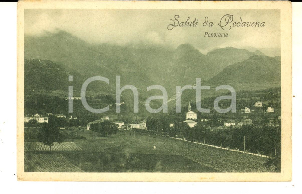 Cartolina originale da collezione 1920 ca PEDAVENA BL Veduta panoramica Cartolina postale FP NV 1
