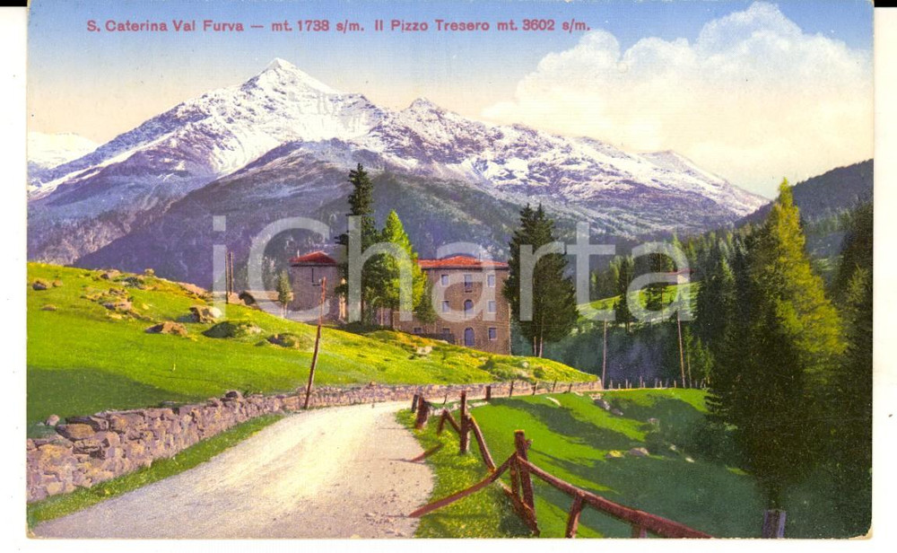 Cartolina originale da collezione 1915 ca SANTA CATERINA VALFURVA Veduta con il PIZZO TRESERO Cartolina FP NV 1