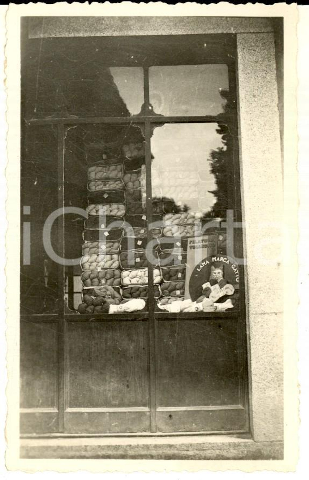 Fotografia d epoca originale 1920 ca MILANO Vetrina negozio di lane  FILATURA TOLLEGNO e GATTO Foto 7x11 1