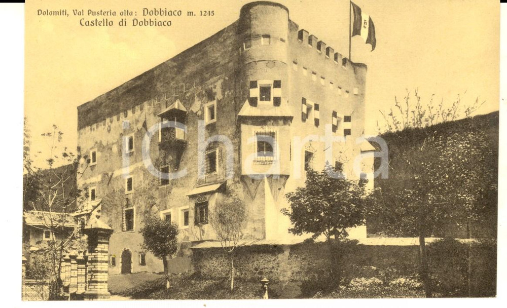 Cartolina originale da collezione 1930 ca DOBBIACO BZ Veduta del castello Cartolina postale FP NV 1