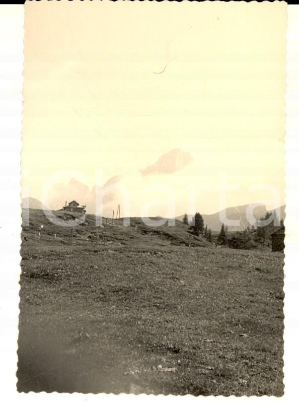 Fotografia d epoca originale 1950 ca PASSO ROLLE TN Veduta con una piccola baita Foto VINTAGE 6x10 cm 1