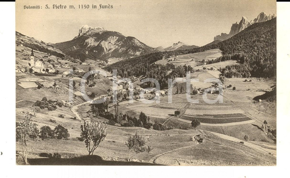 Cartolina originale da collezione 1930 ca SAN PIETRO DI FUNES BZ Panorama con le DOLOMITI Cartolina FP NV 1