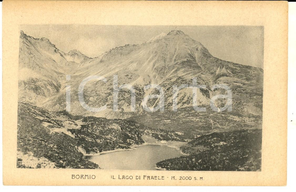 Cartolina originale da collezione 1915 ca BORMIO SO Veduta con il lago di FRAELE Cartolina postale FP NV 1