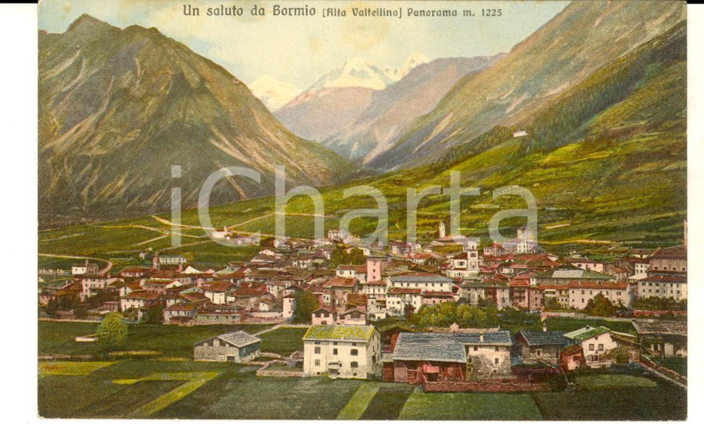 Cartolina originale da collezione 1915 ca BORMIO SO Veduta panoramica  ALTA VALTELLINA Cartolina FP NV 1