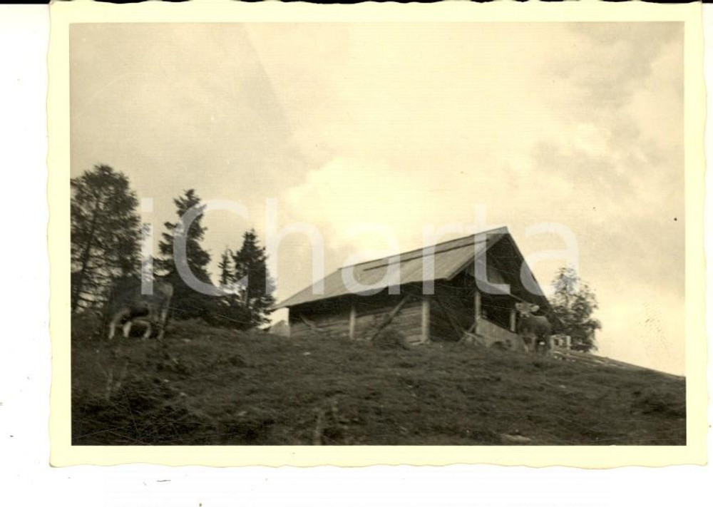 Fotografia d epoca originale 1954 PECOL BL Veduta di una baita in VAL DI ZOLDO Foto VINTAGE 10x7cm 1