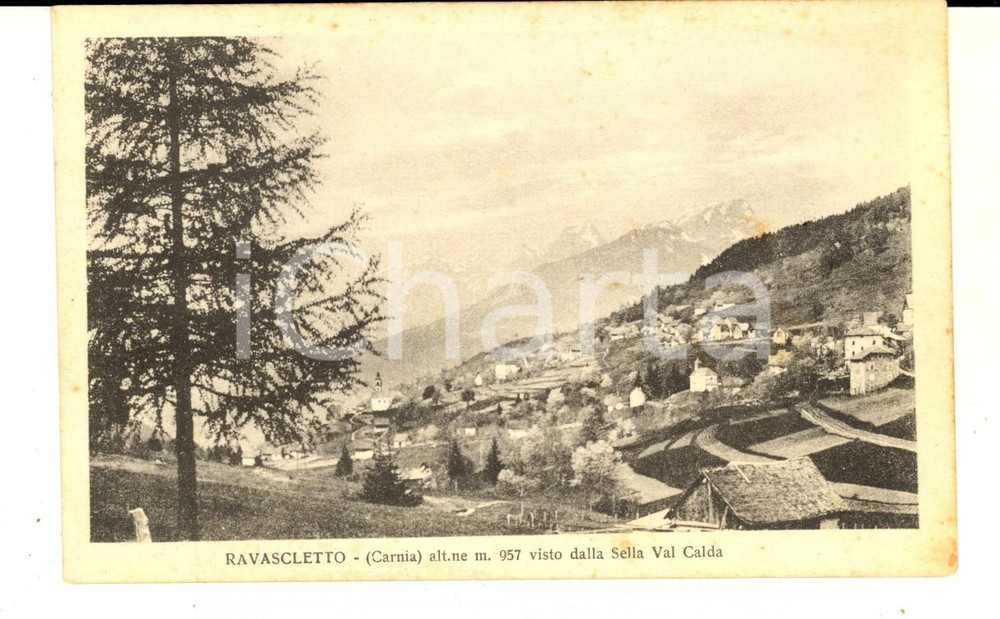 Cartolina originale da collezione 1930 ca RAVASCLETTO UD Il paese visto dalla SELLA VAL CALDA Cartolina FP NV 1