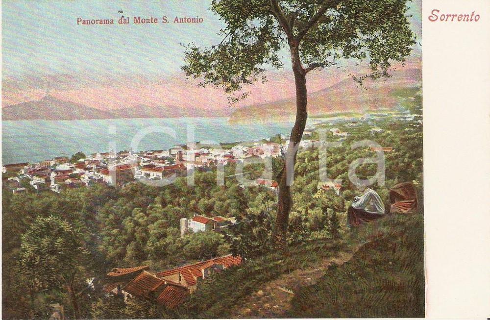 Cartolina originale da collezione 1950 ca SORRENTO Ragazzi guardano panorama da Monte Sant Antonio Cartolina FP NV 1