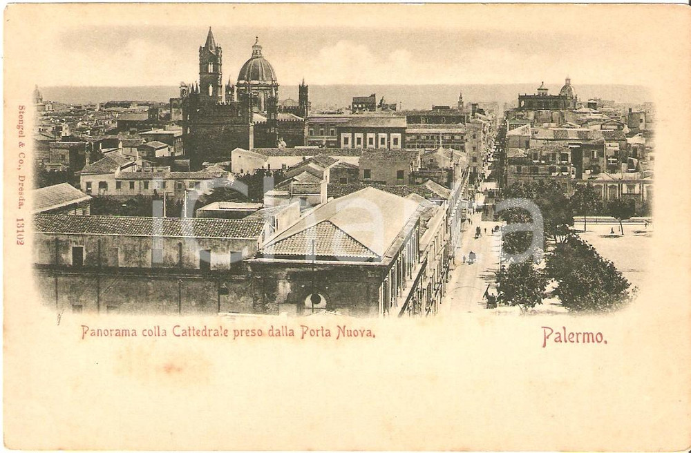 Cartolina originale da collezione 1899 PALERMO Panorama di Porta Nuova con la Cattedrale Cartolina FP VG 1