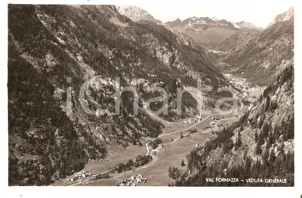Cartolina originale da collezione 1951 VAL FORMAZZA VB Veduta generale della valle Cartolina FP VG 1