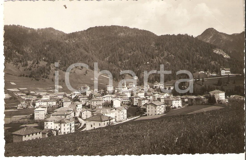 Cartolina originale da collezione 1946 LAGGIO DI CADORE BL Panorama del paese Cartolina FP VG 1