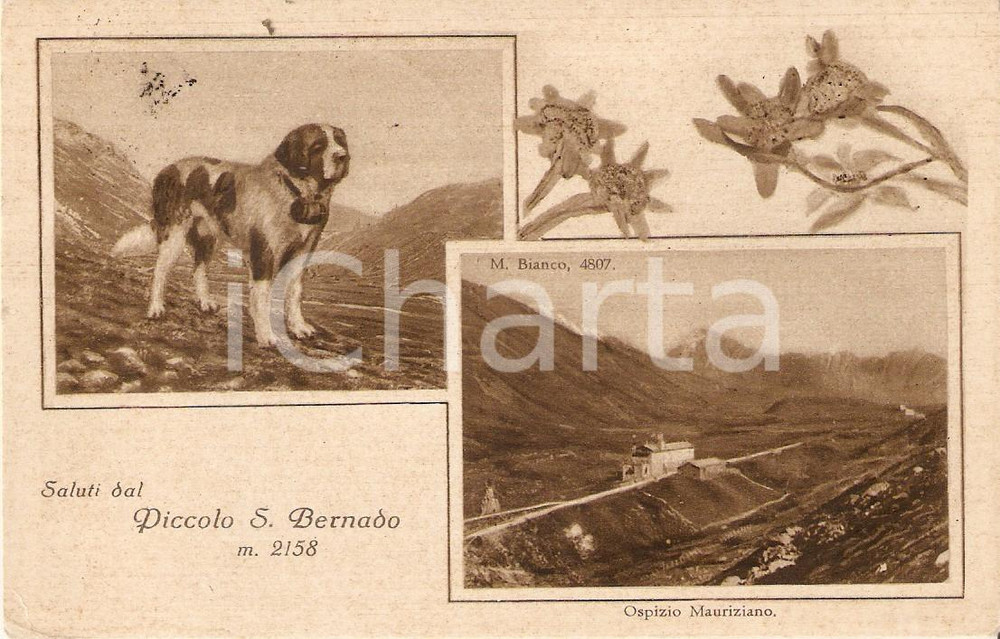 Cartolina originale da collezione 1932 PICCOLO SAN BERNARDO AO Ospizio Mauriziano MONTE BIANCO Cartolina FP VG 1