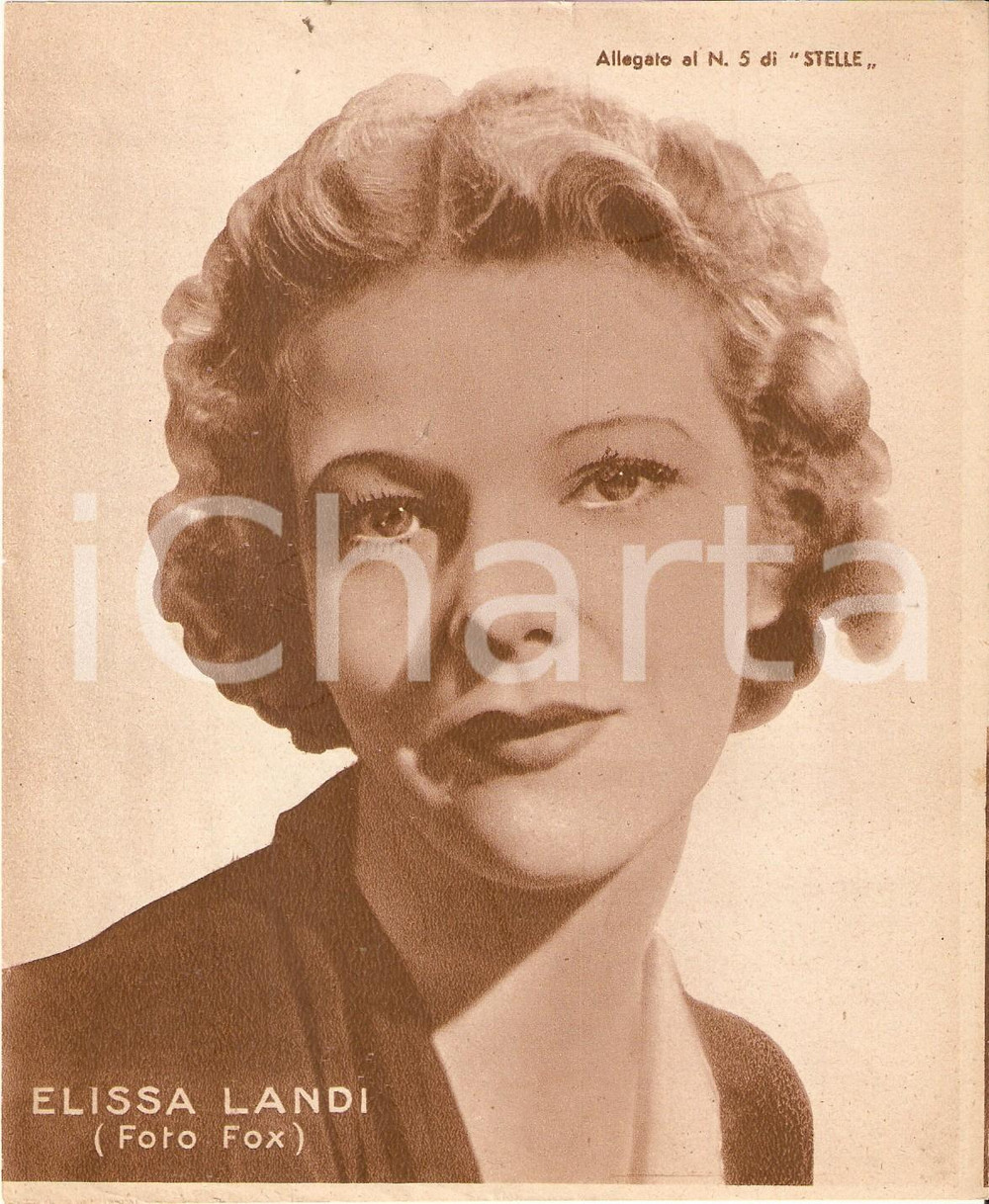 Stampa, bozzetto originale 1940 ca CINEMA Ritratto Elissa LANDI Allegato al n. 5 di STELLE 15x18cm 1