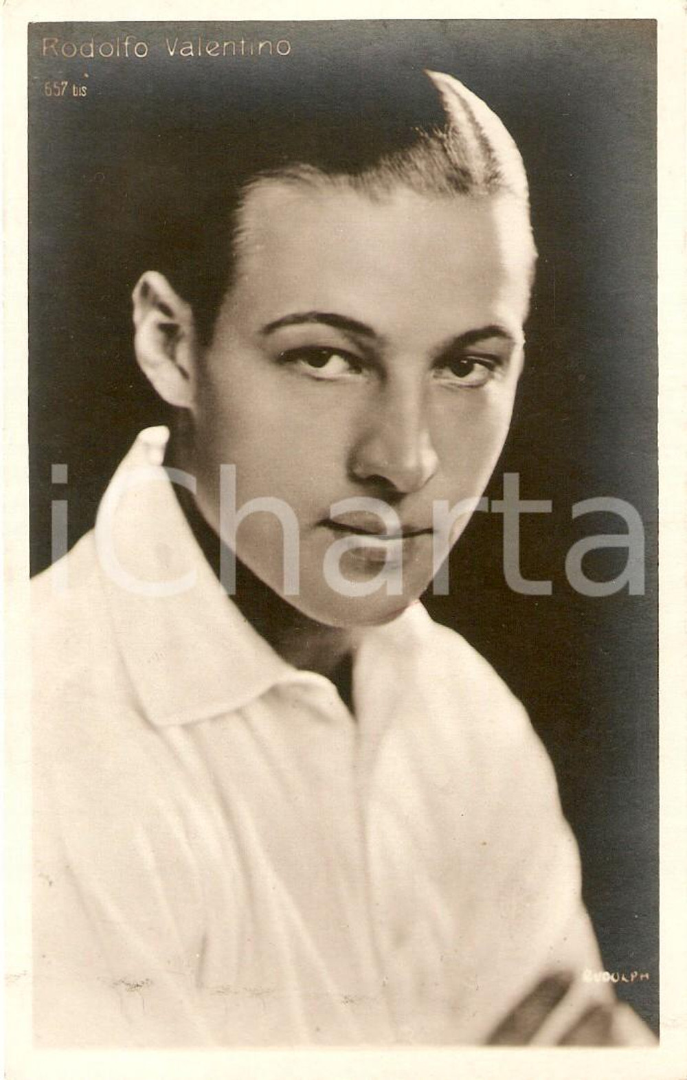 Cartolina originale da collezione 1925 ca CINEMA Rodolfo VALENTINO Ritratto con camicia bianca Cartolina FP NV 1