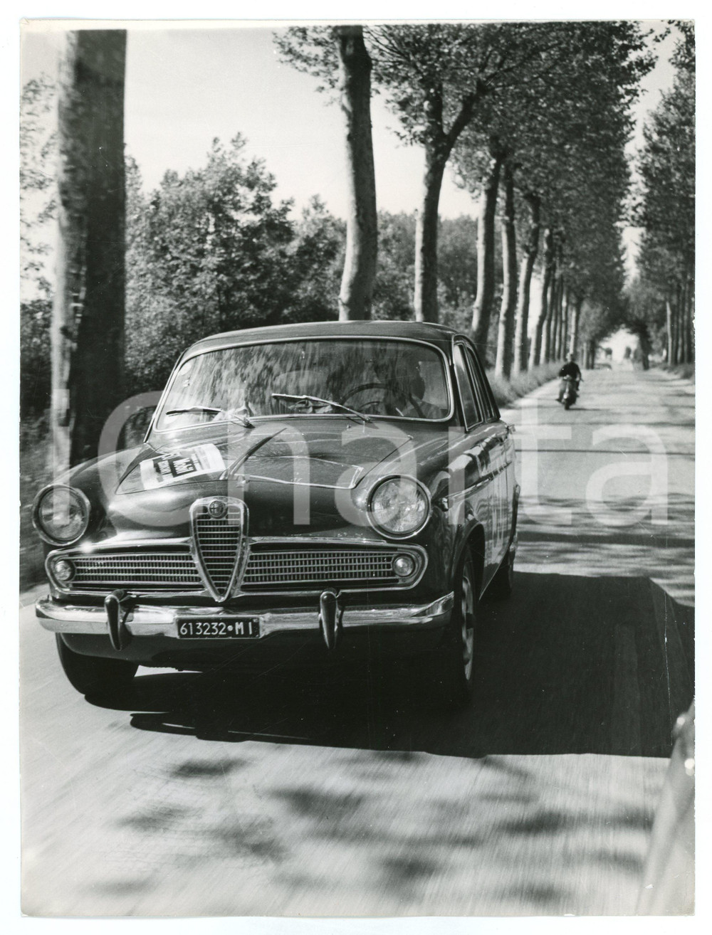 Fotografia d epoca originale 1962 MOBIL ECONOMY RUN Alfa Romeo Giulia su viale alberato Foto JOLLY CLUB 1