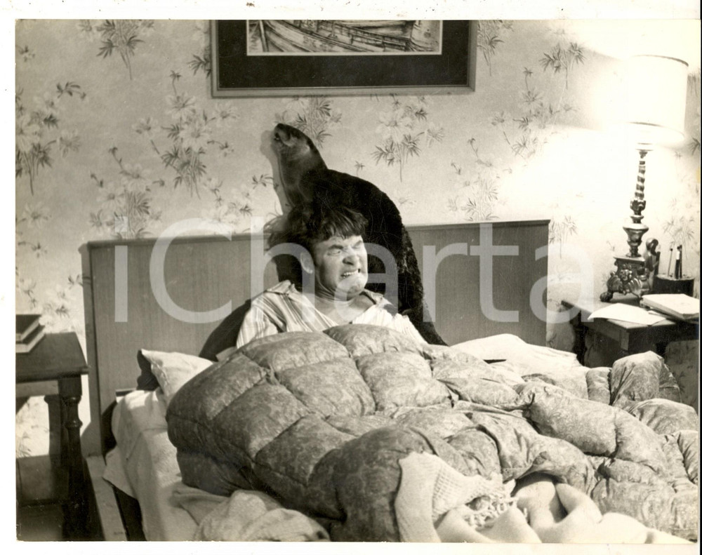 Fotografia d epoca originale 1969 CINEMA Film Ring of bright water Bill TRAVERS a letto con la foca Foto 1