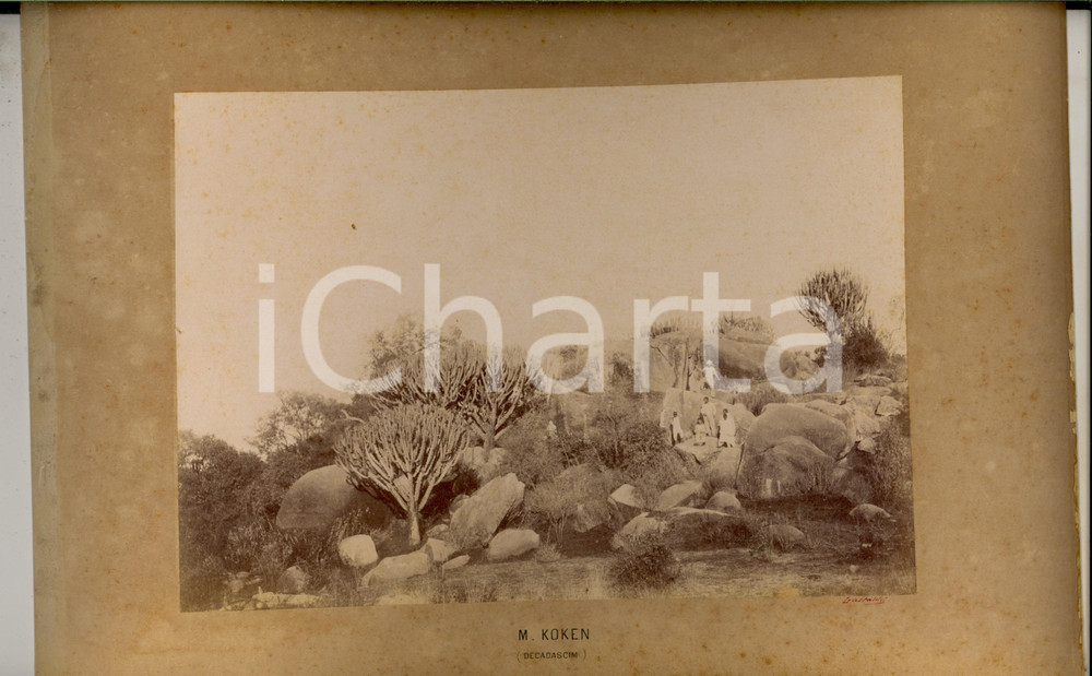 Fotografia d epoca originale 1890 ca AOI ERITREA Veduta del KOKEN DECADASCIM Foto Carlo GASTALDI 34x22 cm 1
