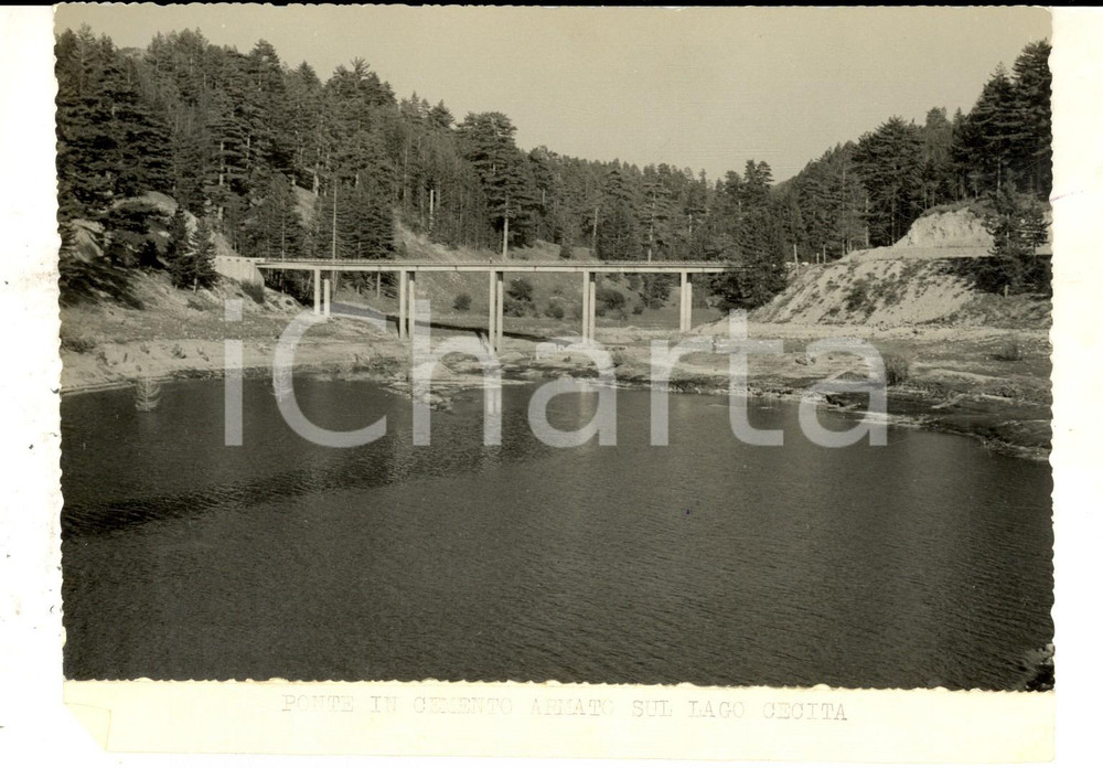 Fotografia d epoca originale 1965 ca COSENZA  Lago CECITA Nuovo ponte in cemento armato Foto 18x14 cm 1