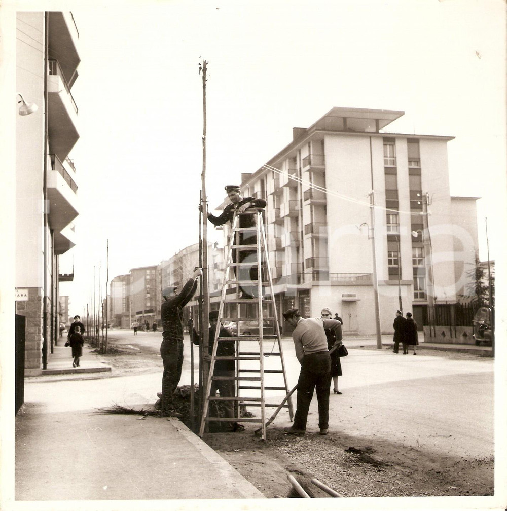 Fotografia d epoca originale 1977 PADOVA Operai installano nuova linea telefonica Foto 18x18 cm 1