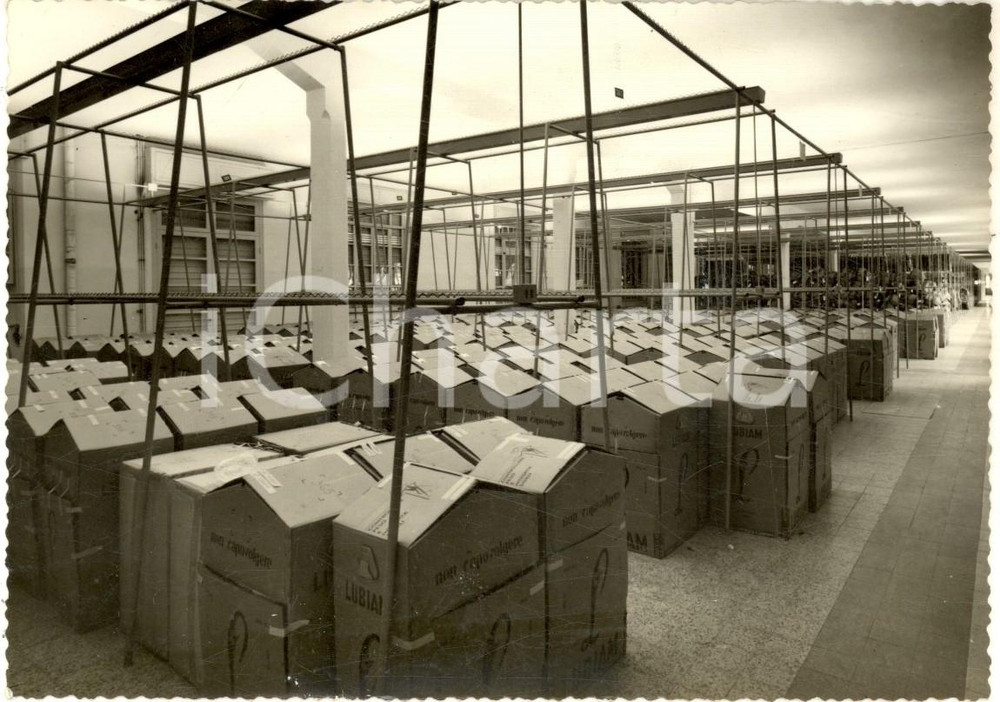 Fotografia d epoca originale 1960 ca MANTOVA Stabilimento LUBIAM Moda Uomo  Il magazzino Foto 14x10 cm 1