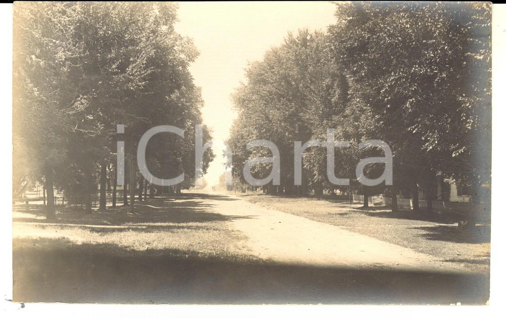 Fotografia d epoca originale 1910 ca USA Treelined street in an old villageReal photo postcard RPPC VINTAGE 1
