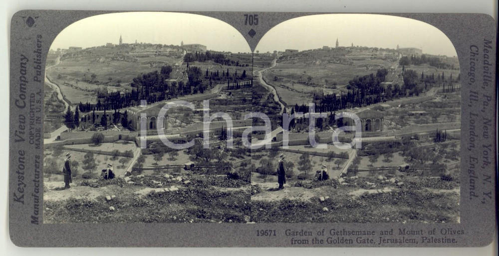 Fotografia d epoca originale 1930 ca JERUSALEM Garden of Gethsemane and Mount of Olives Stereoview KEYSTONE 1