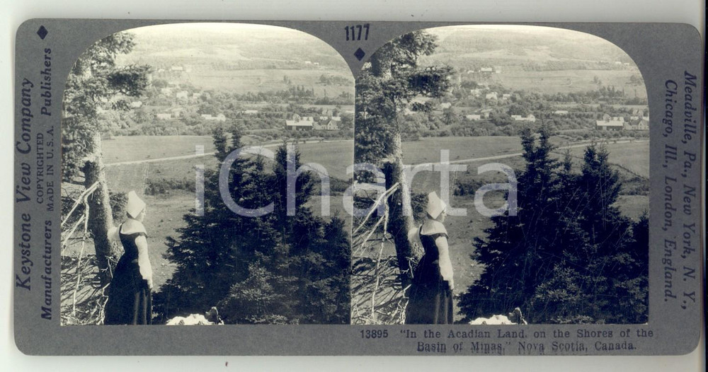 Fotografia d epoca originale 1930 ca CANADA On the shores of the Basin of Minas Stereoview KEYSTONE 1