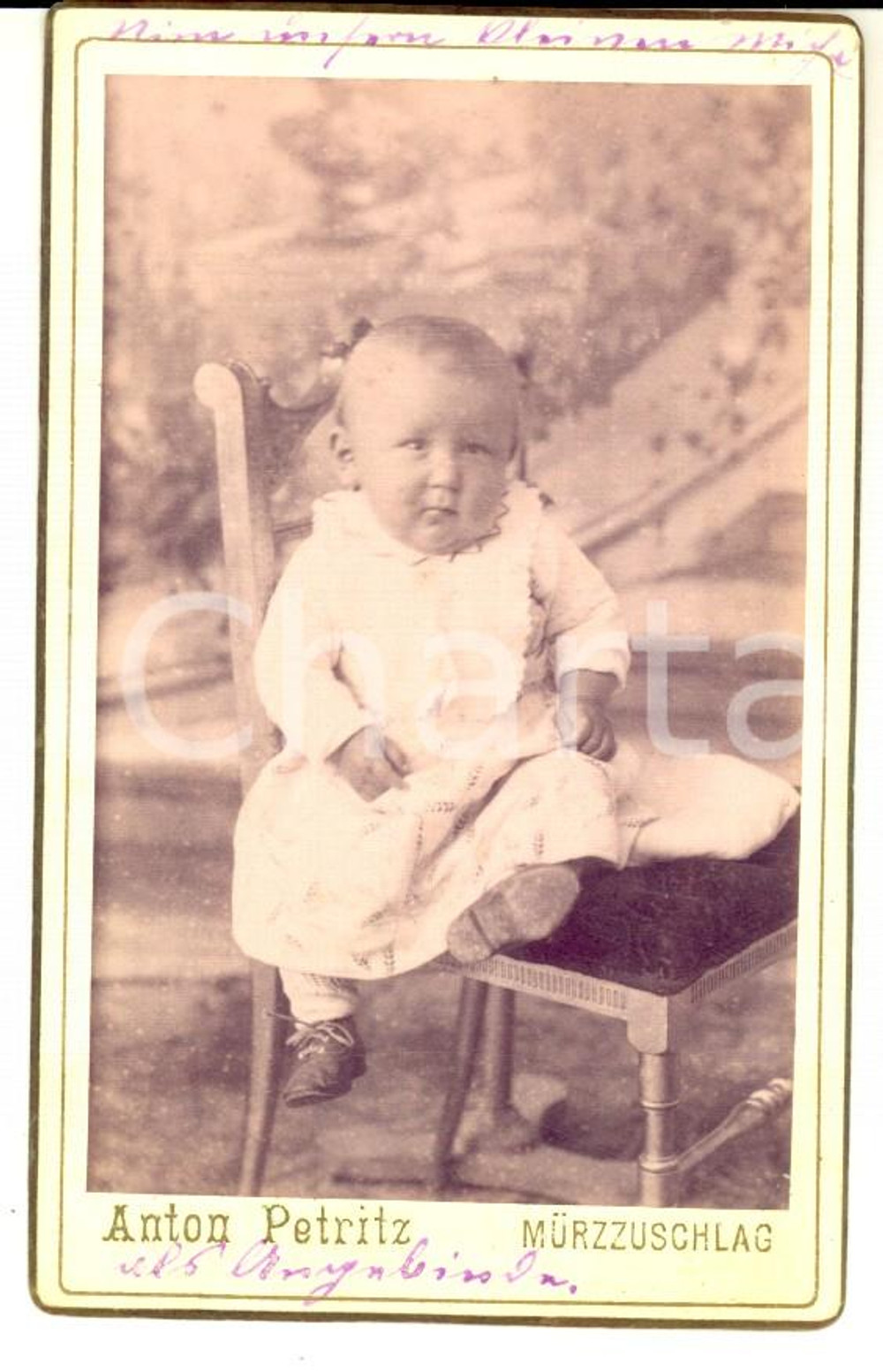 Fotografia d epoca originale 1890 ca MURZZUSCHLAG Ritratto di Michael HIRSCH bambino Foto Anton PETRITZ CDV 1