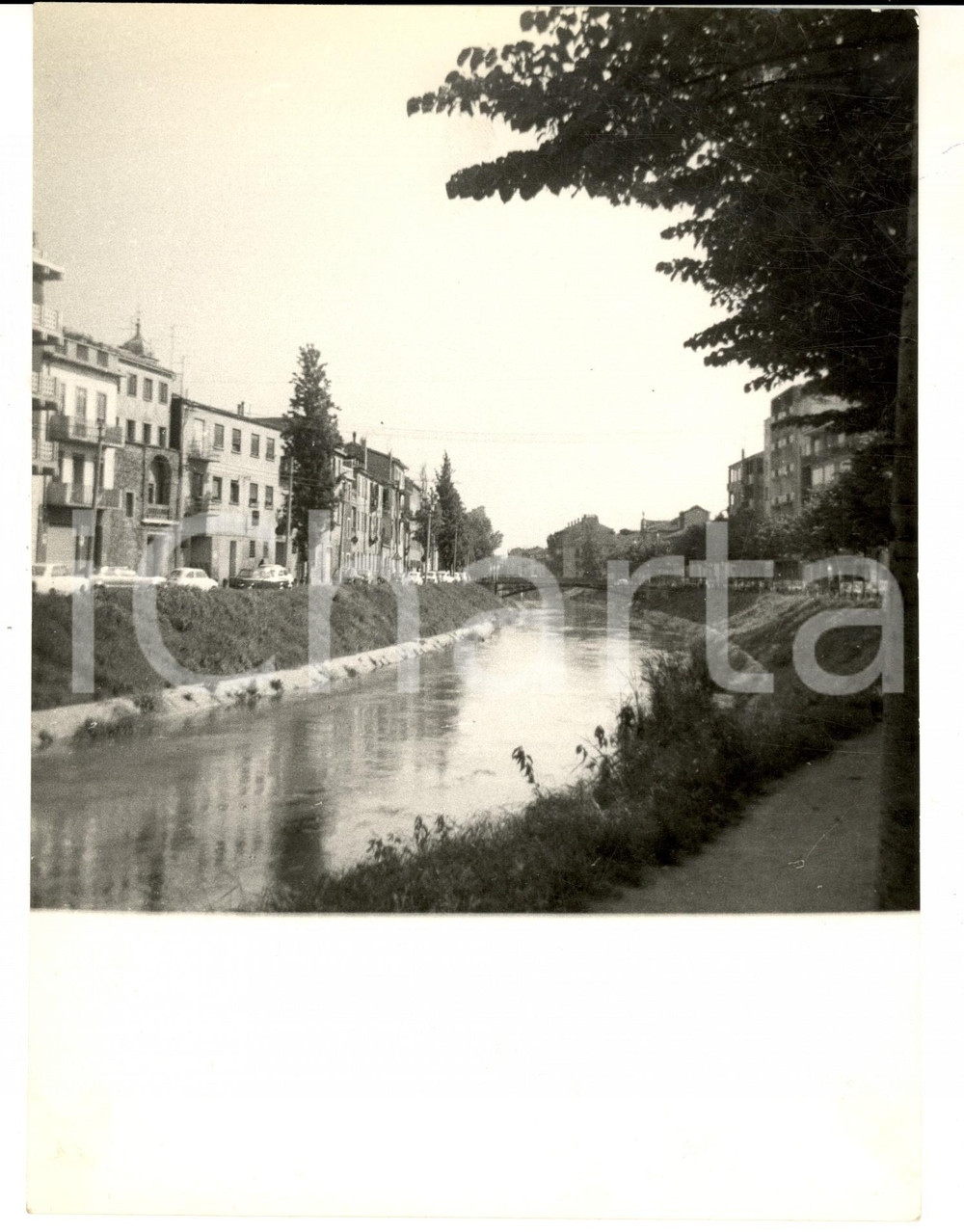 Fotografia d epoca originale 1970 ca PADOVA Veduta lungo il fiume BRENTA Fotografia ARTISTICA 18x24 cm 1