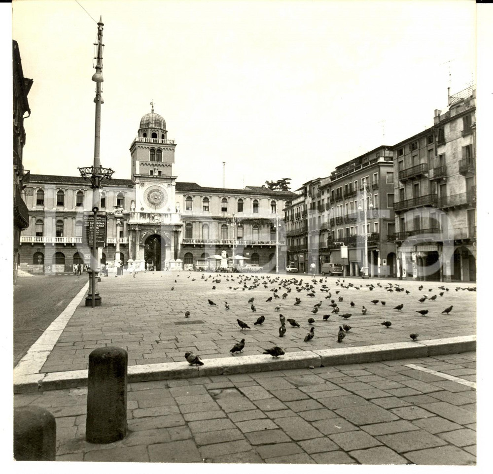 Fotografia d epoca originale 1970 ca PADOVA Veduta di Piazza dei Signori Fotografia ARTISTICA 18x22 cm 1