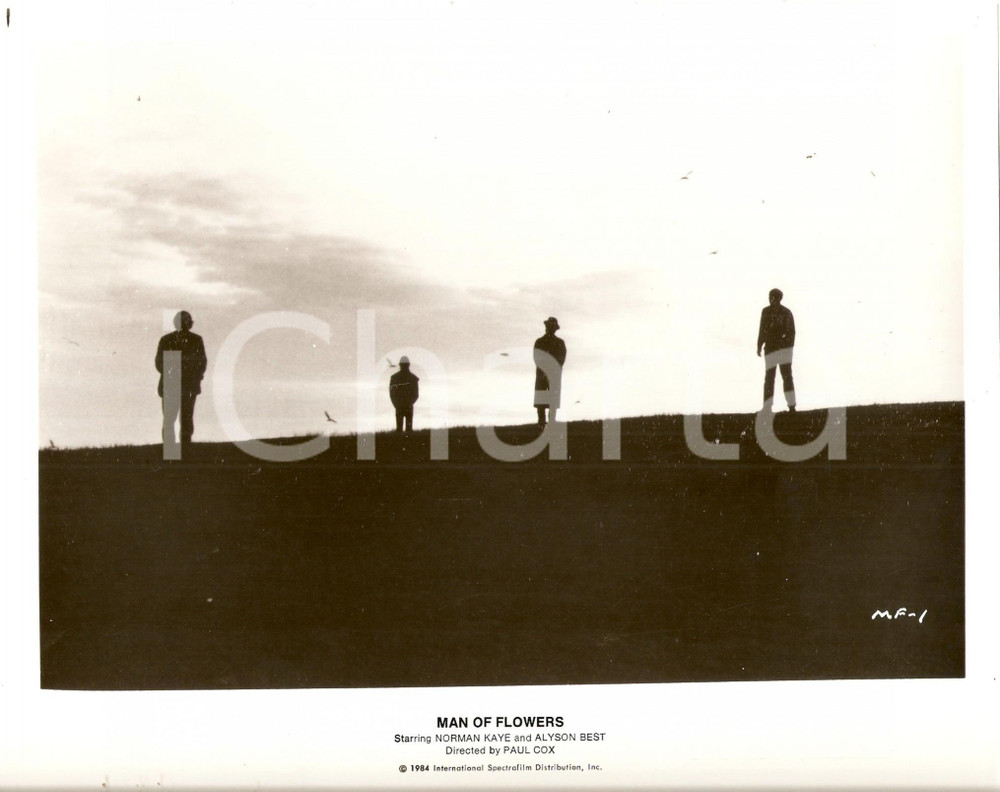Fotografia d epoca originale 1983 CINEMA  MAN OF FLOWERS Movie by Paul COX Photo 26x20 cm 1