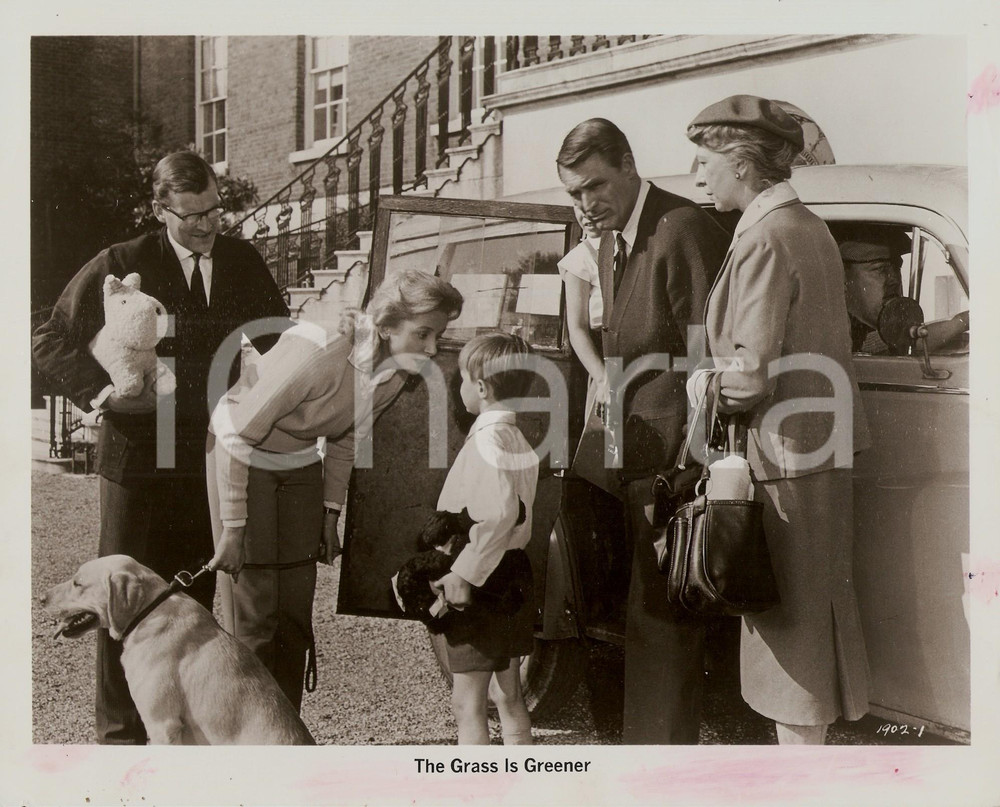 Fotografia d epoca originale 1960 THE GRASS IS GREENER Cary GRANT Deboarh KERR Moray WATSON Foto 25x20 cm 1