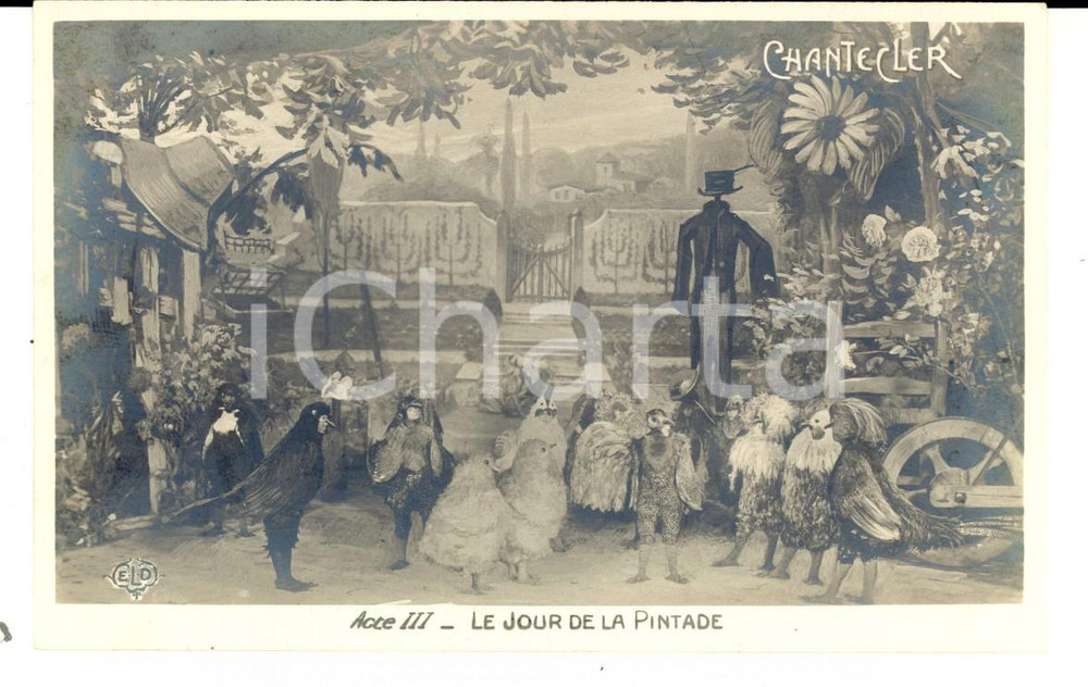 Cartolina originale da collezione 1910 THEATRE ROSTAND CHANTECLER Le jour de la pintade  Acte III Carte postale 1