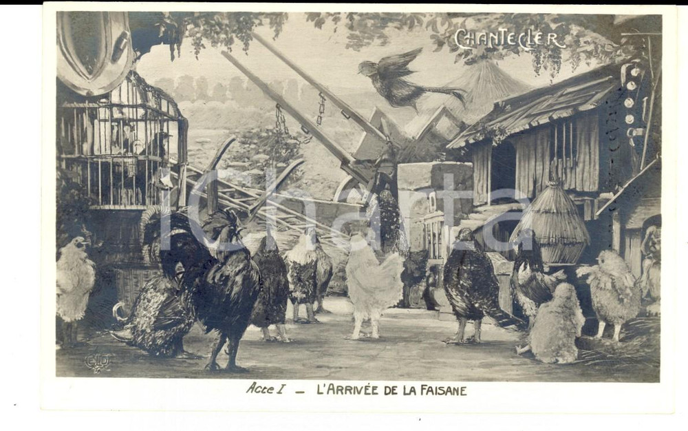 Cartolina originale da collezione 1910 THEATRE ROSTAND CHANTECLER L arrivÃ©e de la faisane  Acte I Carte postale 1