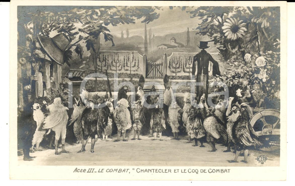 Cartolina originale da collezione 1910 THEATRE ROSTAND CHANTECLER Le coq de combat  Acte III Carte postale 1