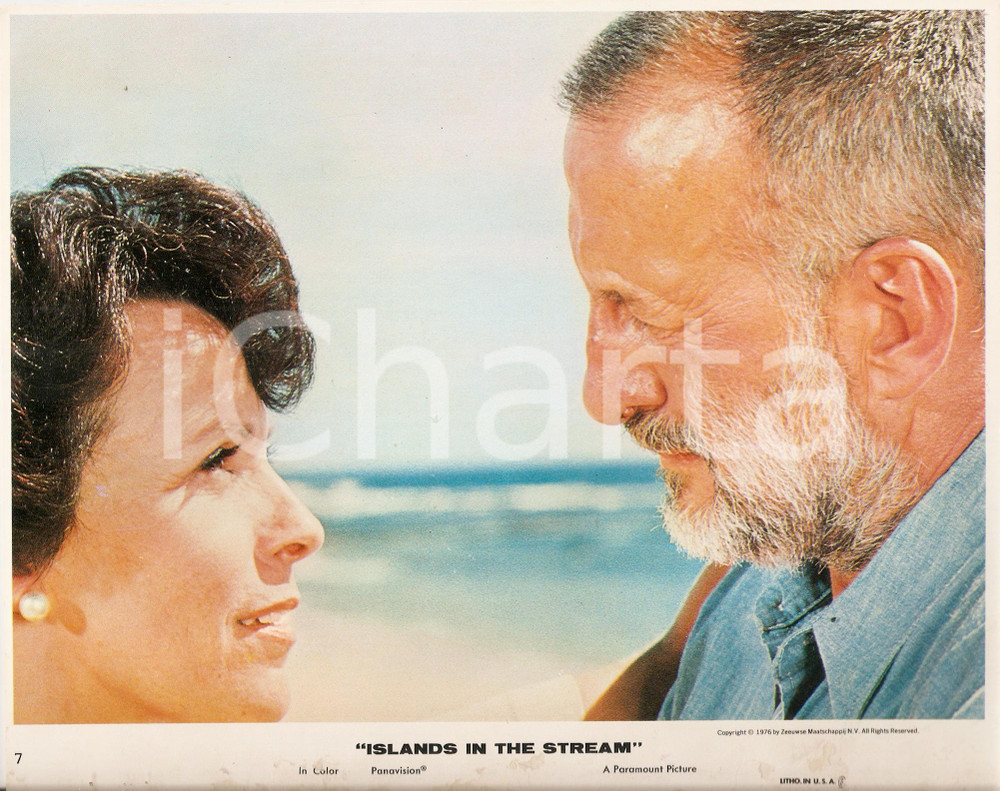 Fotografia d epoca originale 1977 ISLANDS IN THE STREAM George C. SCOTT Susan TYRRELL Foto seriale 25x20 cm 1