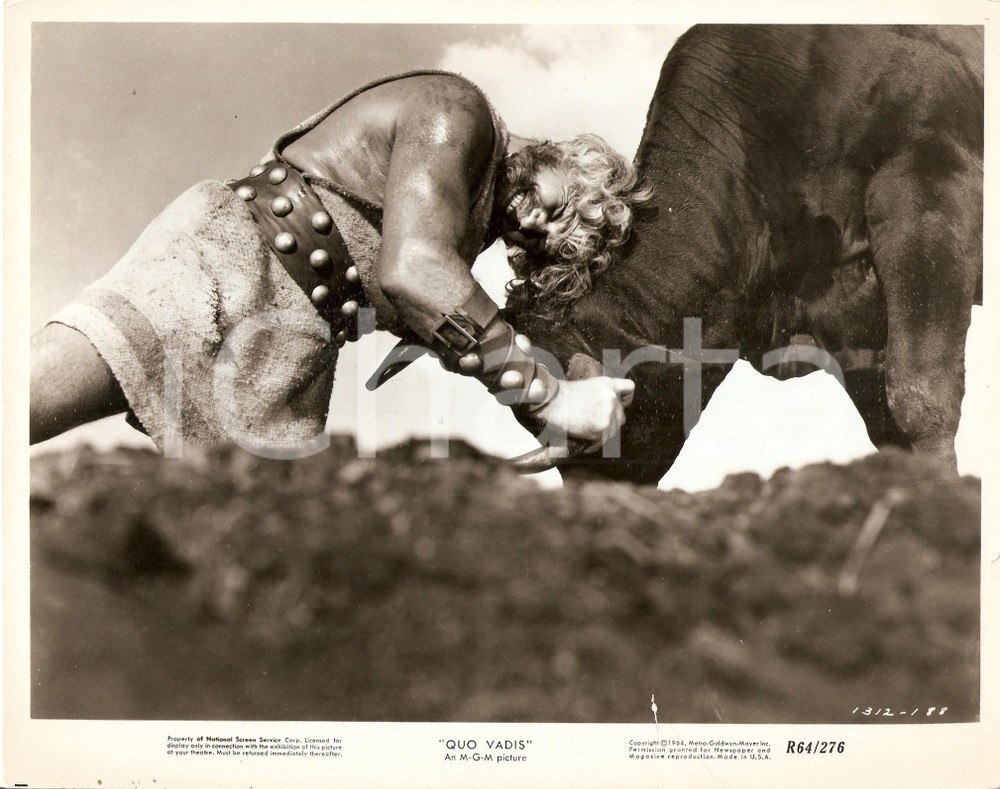 Fotografia d epoca originale 1951 QUO VADIS Buddy BAER fights with a bull  Movie by MANNLeROY Foto seriale 1