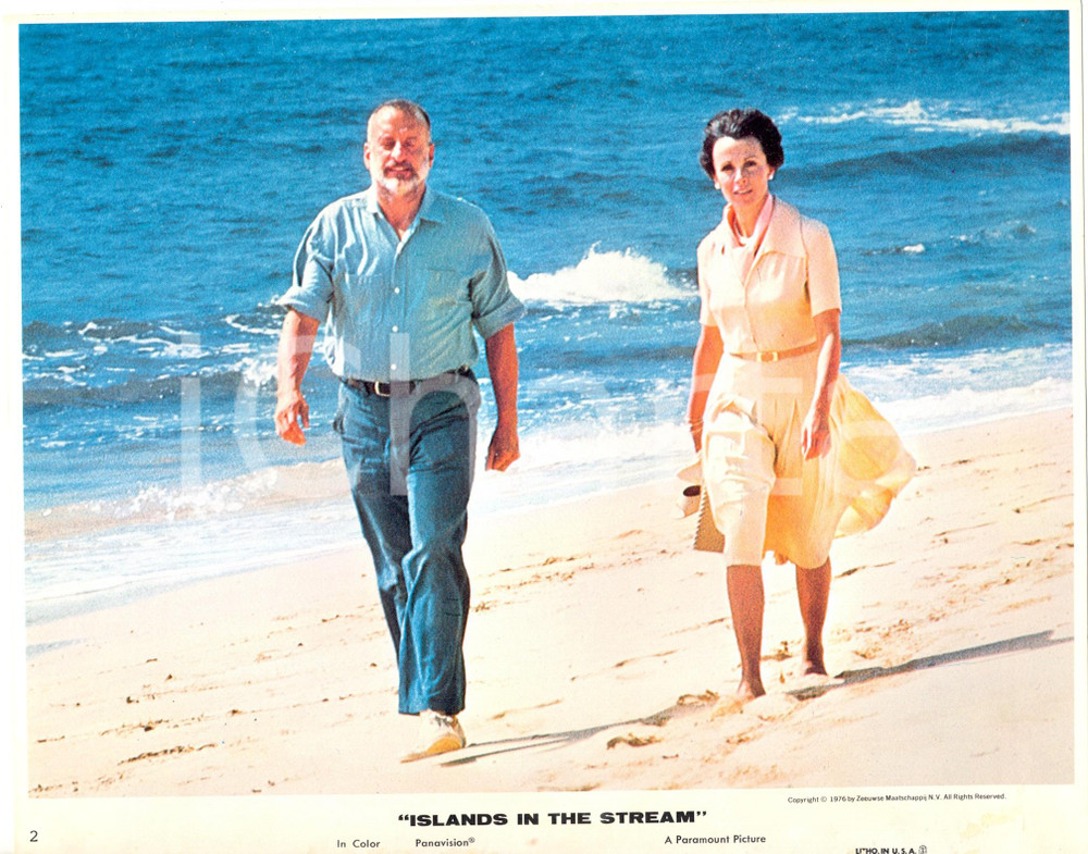 Fotografia d epoca originale 1977 ISLANDS IN THE STREAM Susan TYRRELL George C. SCOTT Foto seriale 25x20 cm 1