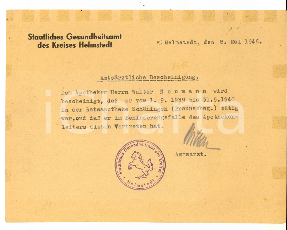 Documento originale, autentico 1946 HELMSTEDT D AmtsÃ¤rztliche Bescheinigung Apotheker Walter NEUMANN 1