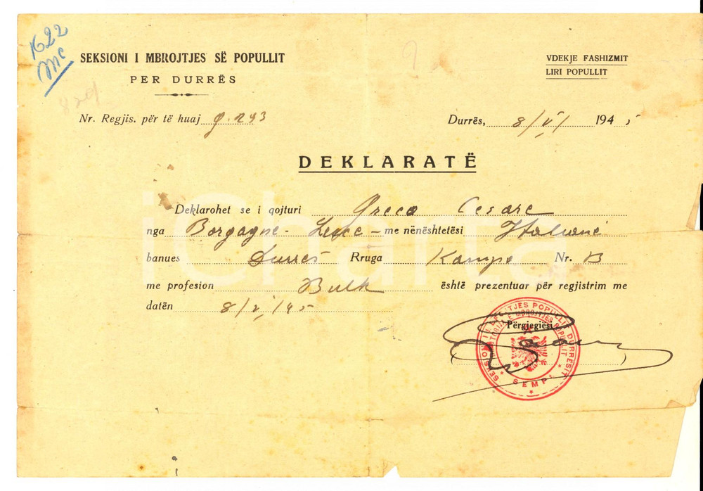 Documento originale, autentico 1945 DURRES / DURAZZO SEKSIONI I MBROJTJES SE POPULLIT Certificato Cesare GRECO 1