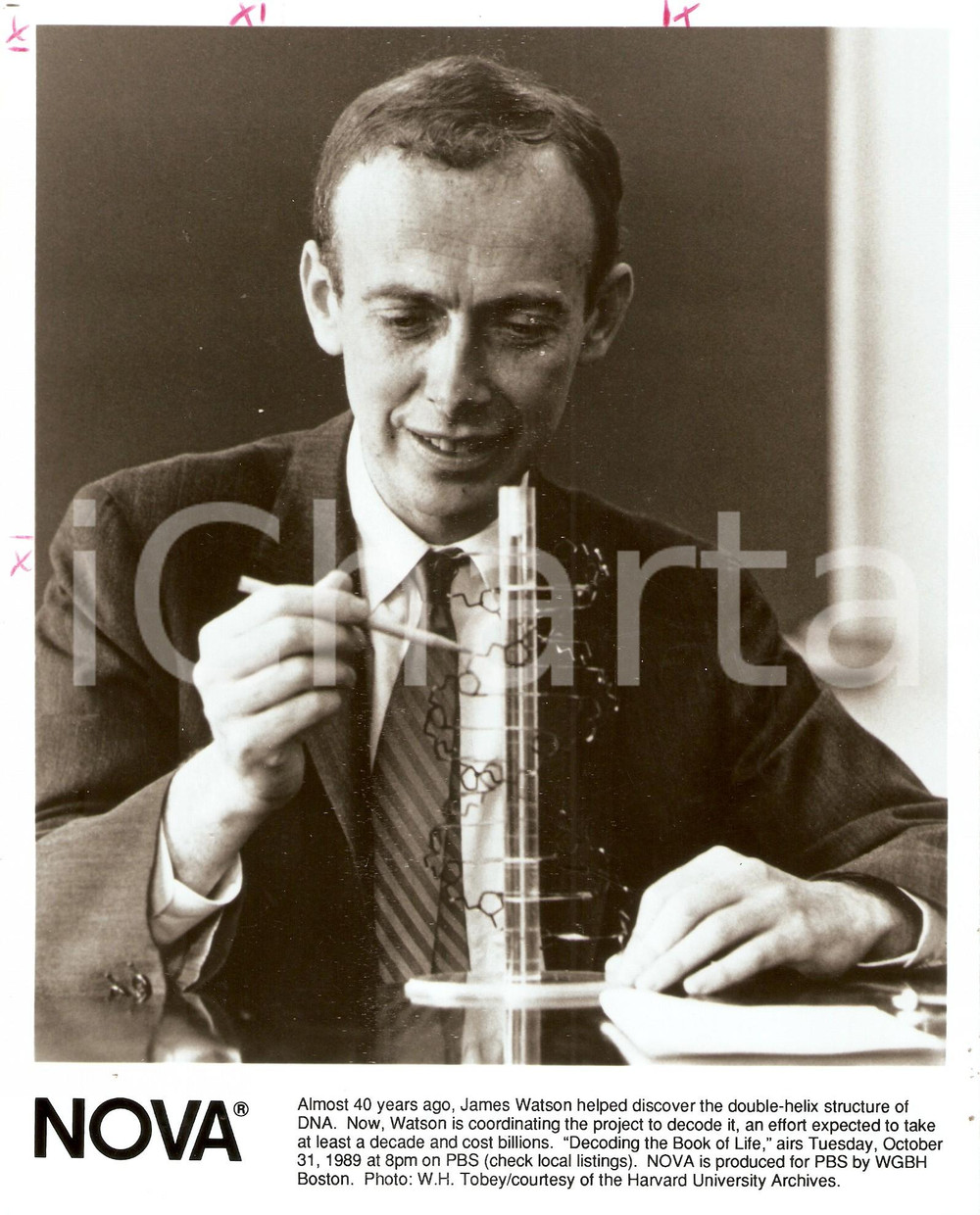 Fotografia d epoca originale 1989 NOVA  PBS Documentary about James WATSON and DNA discovery Photo 20x25 1