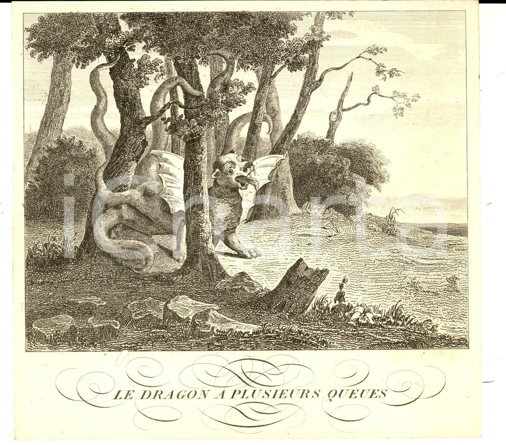 Stampa, bozzetto originale 1790 ca LA FONTAINE Fables  Le Dragon a plusieurs queues Gravure STAMPA 19x19 1