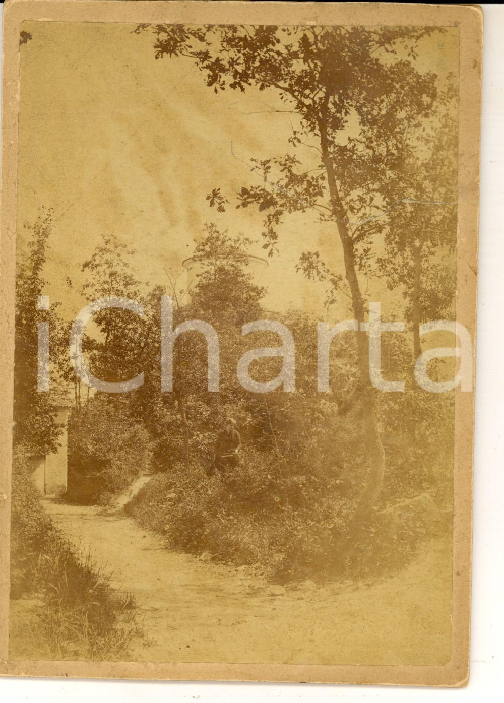Fotografia d epoca originale 1910 ca AREA LOMBARDA Ritratto di donna in giardino Foto VINTAGE ARTISTICA 1