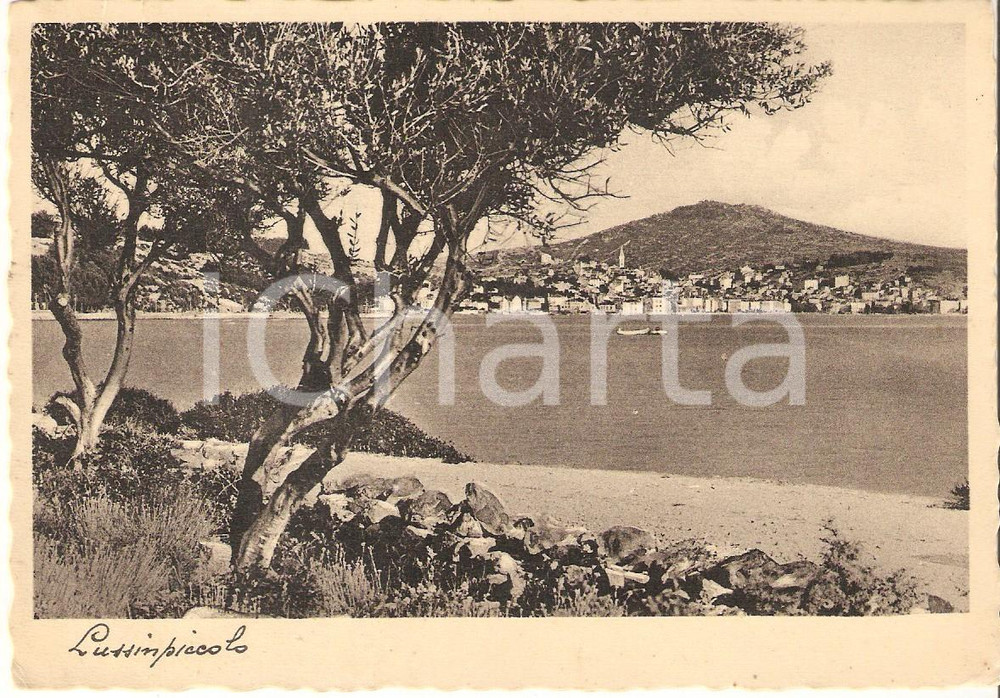 1935 LUSSINPICCOLO (CROAZIA) Panorama della baia di CIGALE *Cartolina FG VG  