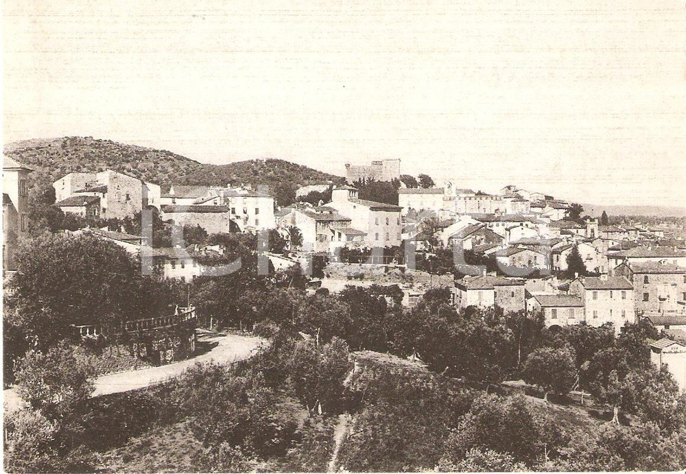 Cartolina originale da collezione 1950 ca SUVERETO LI Panorama del paese Cartolina FG NV 1
