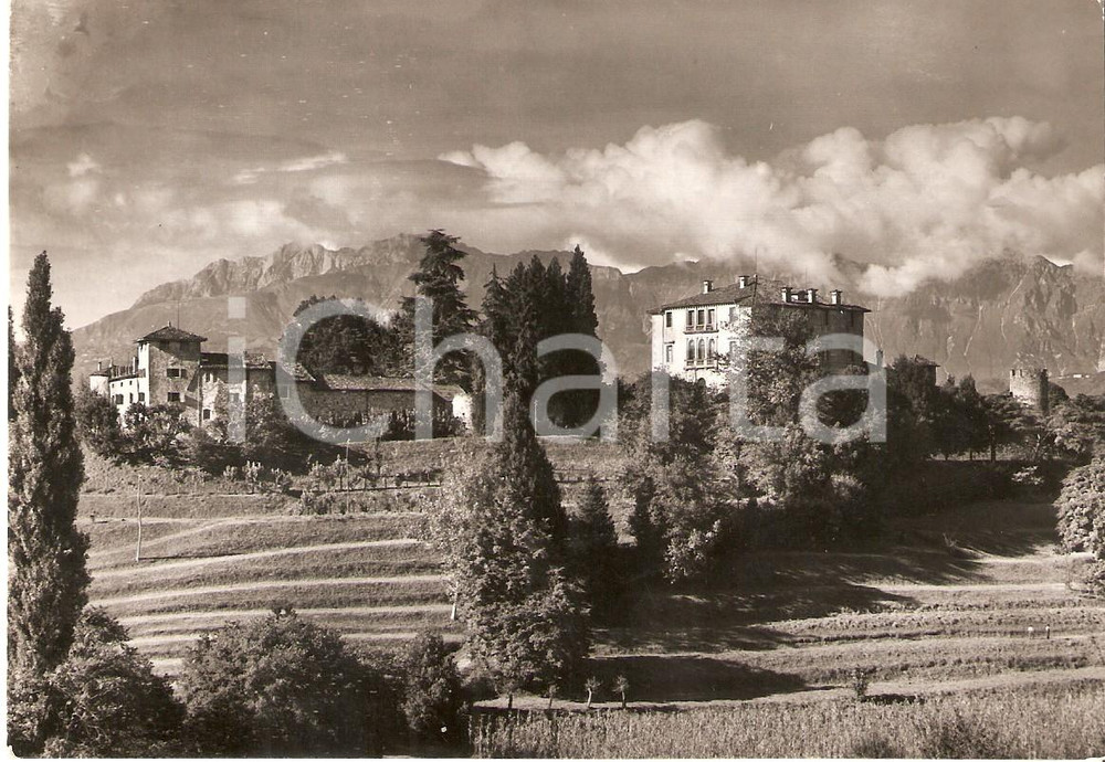 Cartolina originale da collezione 1950 TRICESIMO UD Panorama con Castello della Madonna Cartolina FG VG 1
