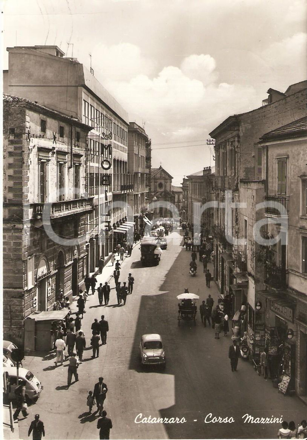 Cartolina originale da collezione 1950 ca CATANZARO Torpedone e cavallo in Corso Mazzini Cartolina FG VG 1