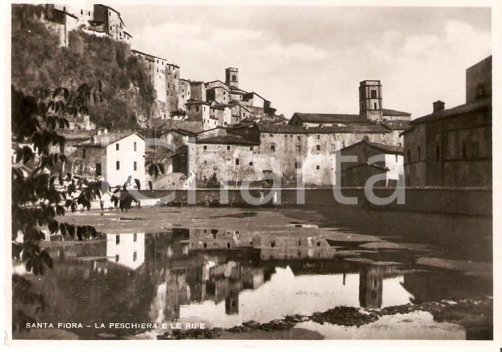 Cartolina originale da collezione 1954 SANTA FIORA GR La peschiera e le ripe Cartolina FG VG 1