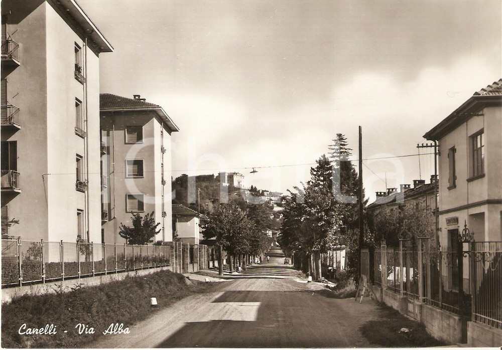 Cartolina originale da collezione 1955 ca CANELLI AT Panorama di via Alba Cartolina FG NV 1