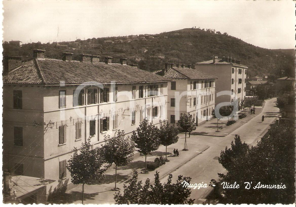 Cartolina originale da collezione 1950 ca MUGGIA TS Panorama di viale D Annunzio Cartolina FG NV 1