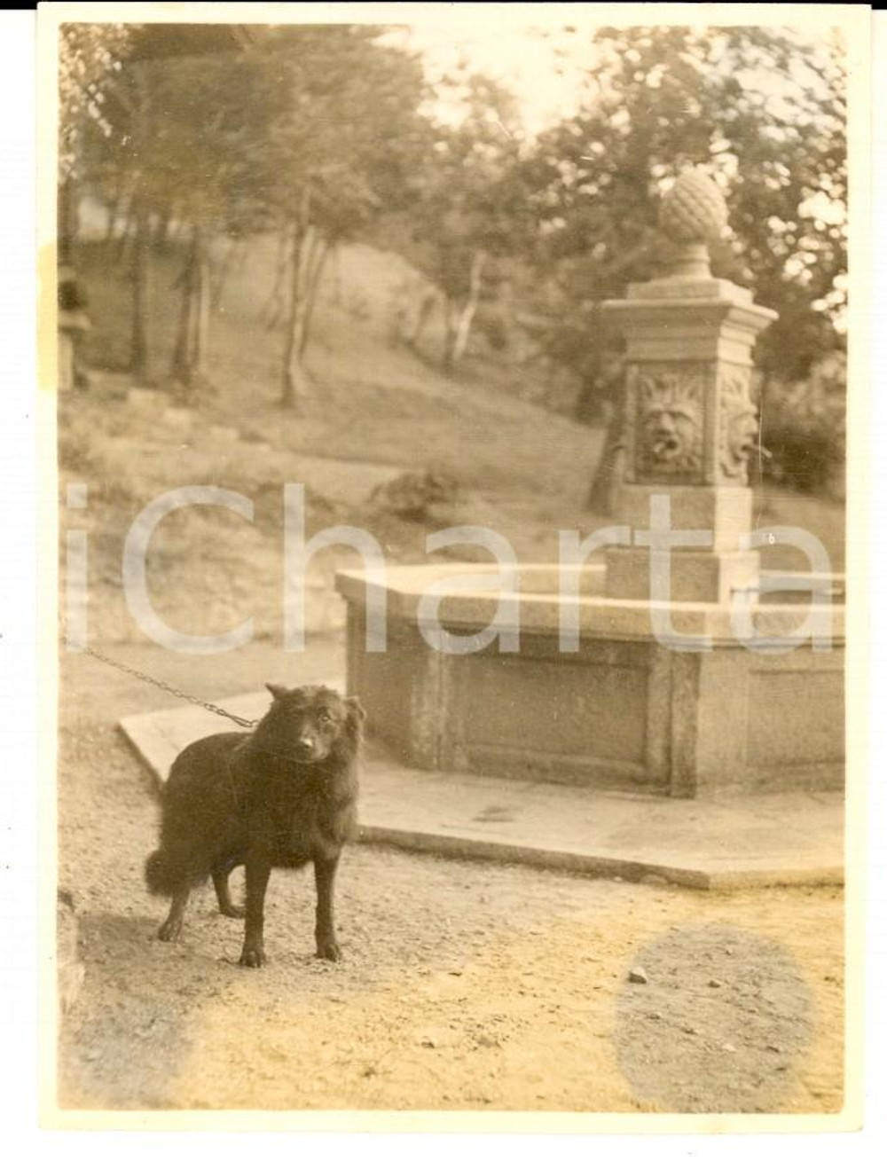 Fotografia d epoca originale 1929 VALGANNA Villaggio Alpino Touring  Cane alla Fontana Alpina Foto 9x12 cm 1